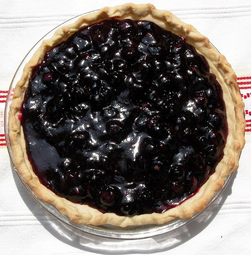 Blueberry Blueberry Pie by Pie Chef Jane Fisher